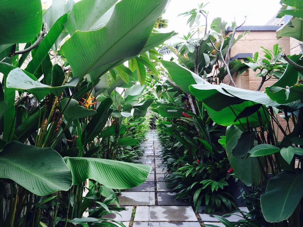 D'Alang Alang Villas Seminyak  Luaran gambar